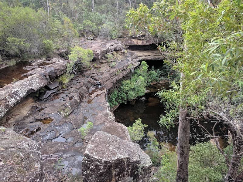 Parma Creek Nature Reserve - Image 1