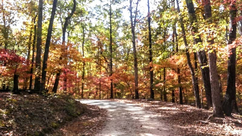 Lynch's Woods Park - Image 1