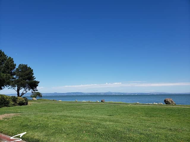 Oyster Point Marina/Park - Image 2