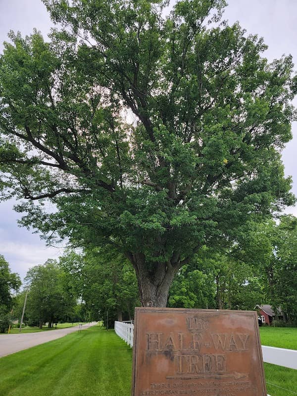 Half Way Tree - Image 2