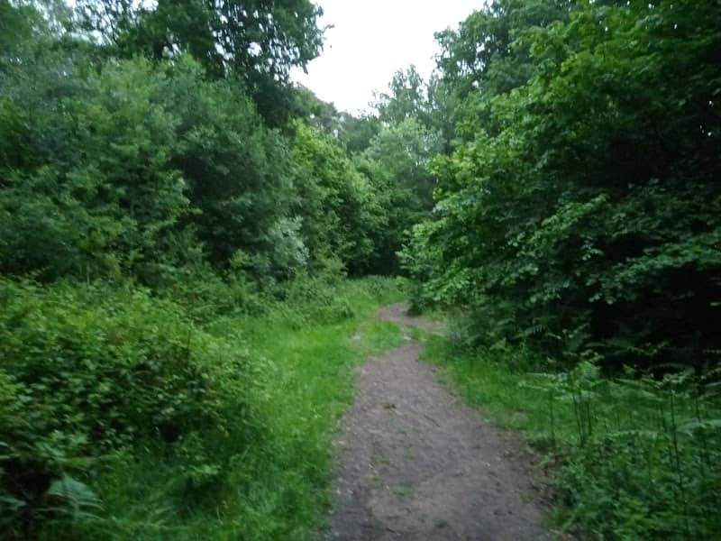 Public Bridleway - Poors Wood - Image 1