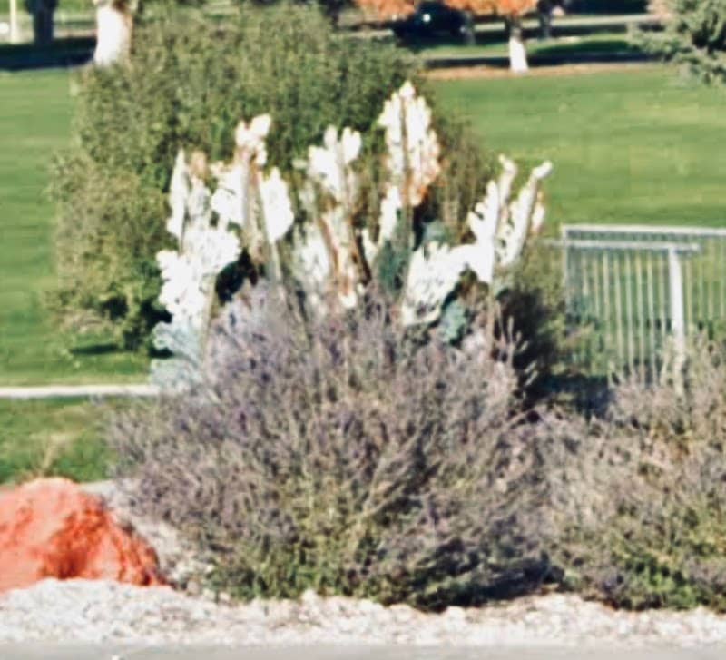 Sagebrush Sculpture - Image 1
