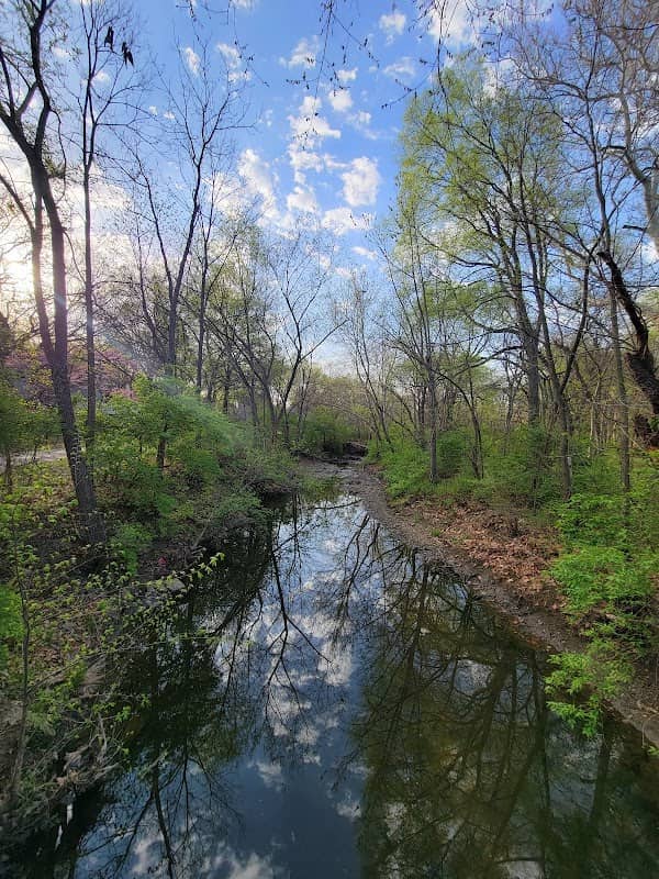 Nottingham Downs Park - Image 2