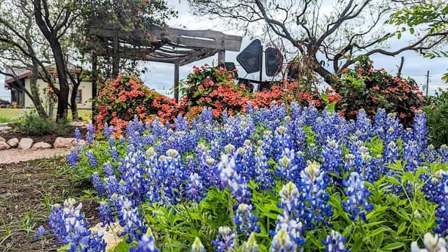 Llano River Railroad - Image 1