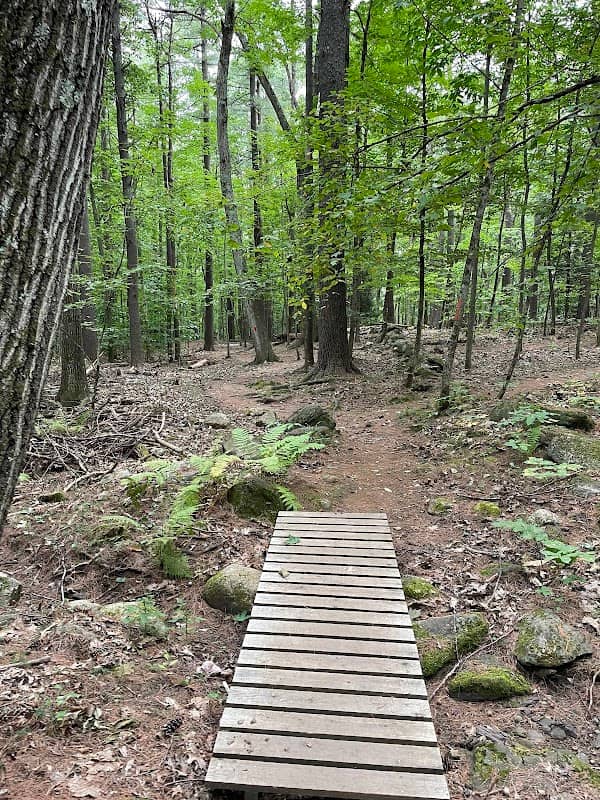 Thorncrag Bird Sanctuary - Image 2