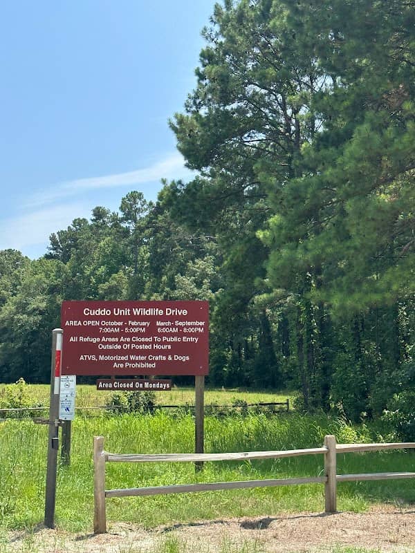 Santee National Wildlife Refuge - Cuddo Unit - Image 3