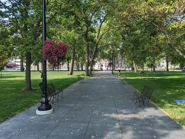 Lincoln Park - Image 1
