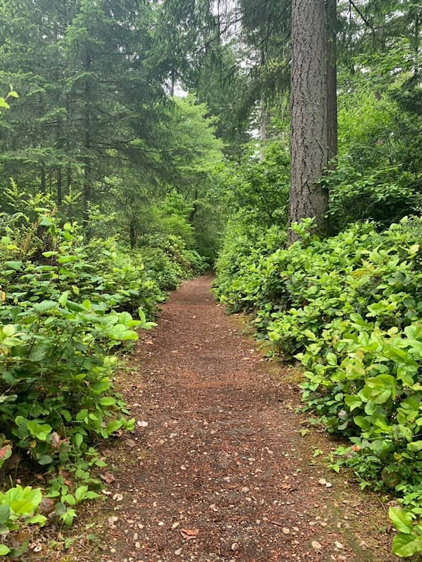 William Ives Trail - Image 3
