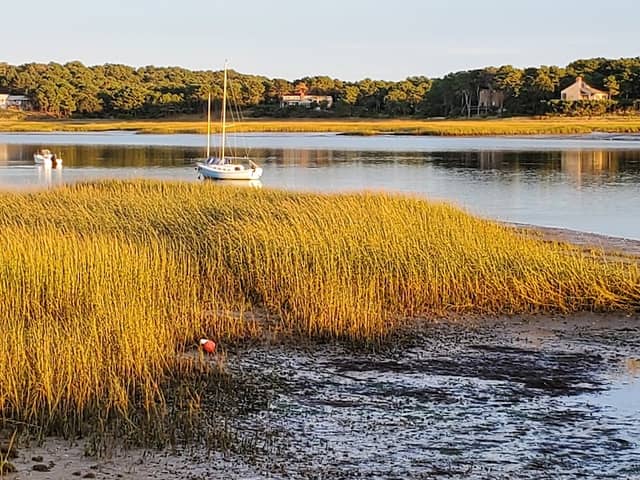Pleasant Point Landing - Image 1