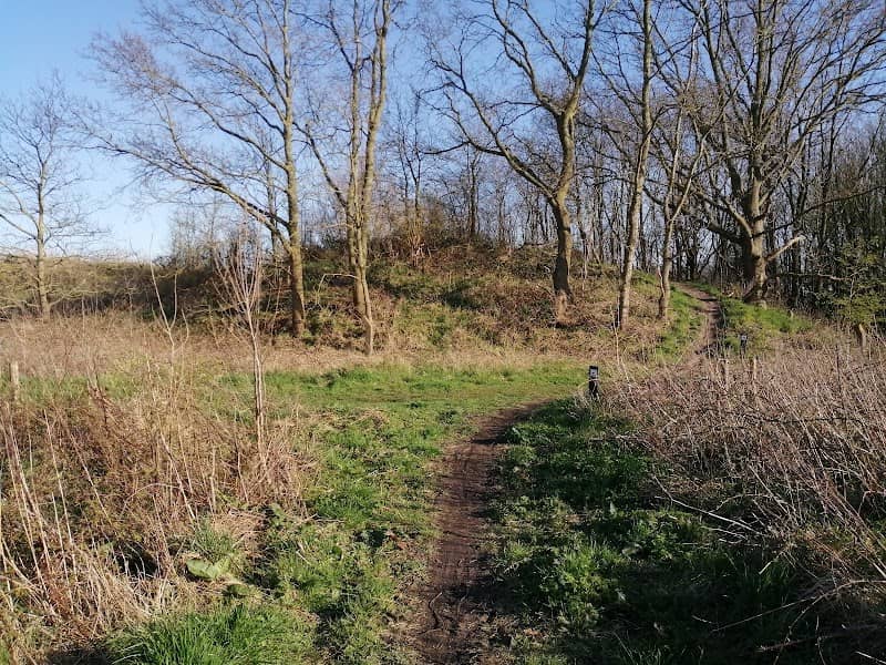 Bunkerbos - Image 1
