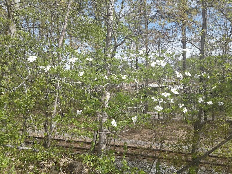Wellons Park - Image 2