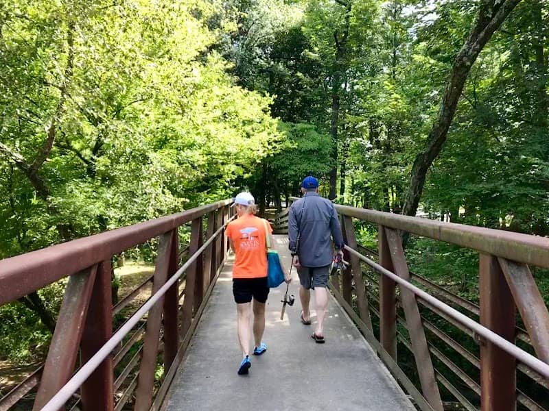 Bryson City Island Park - Image 1