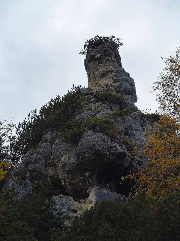 Der alte Riese - Image 2