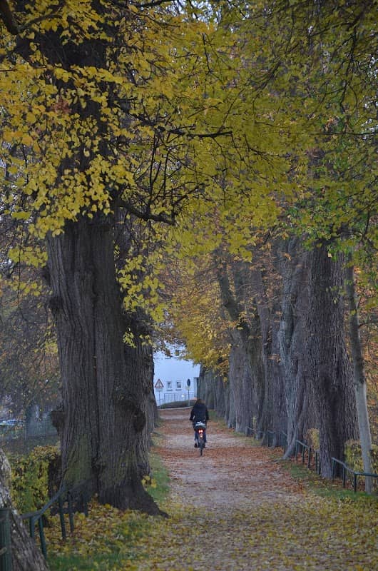 Bäumlesgraben - Image 2