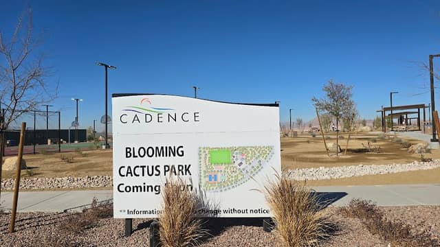 Blooming Cactus Park - Image 2