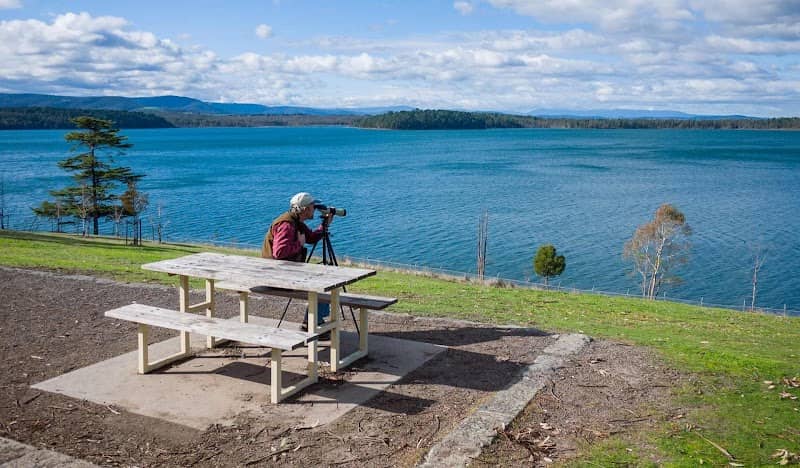 Yan Yean Reservoir Park (Parks Victoria) - Image 1