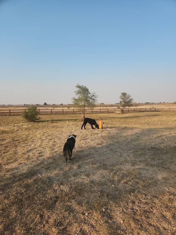 High Point K-9 Park - Image 2
