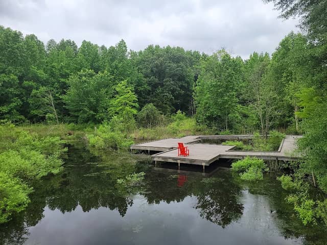 Adkins Arboretum - Image 2