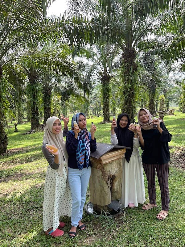 Bramara Cafe & Bee Farm - Image 1