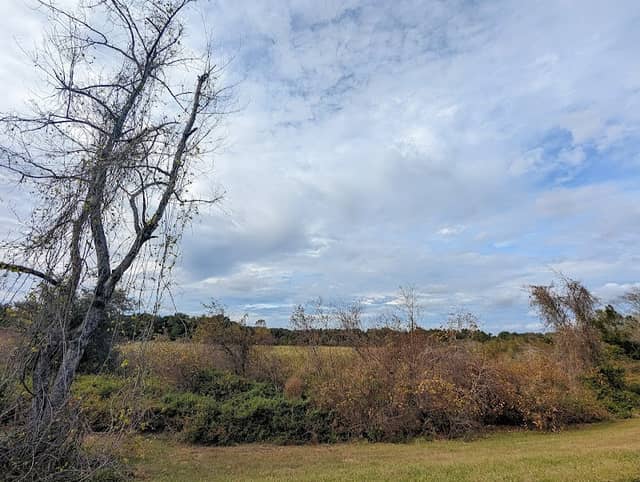 Neighborhood Lakes West Trailhead - Image 2