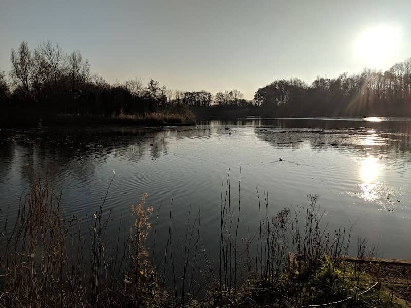 Longton Brickcroft Nature Reserve - Image 2