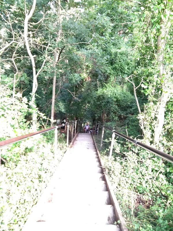 Jacob's Ladder - Image 3
