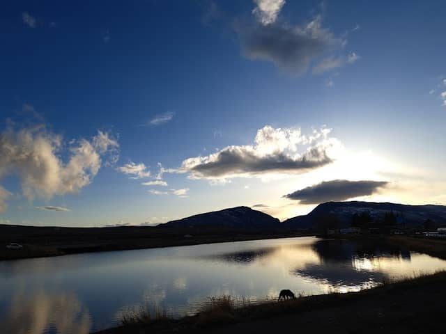 Alkali Lake Bird Viewing Area - Image 2