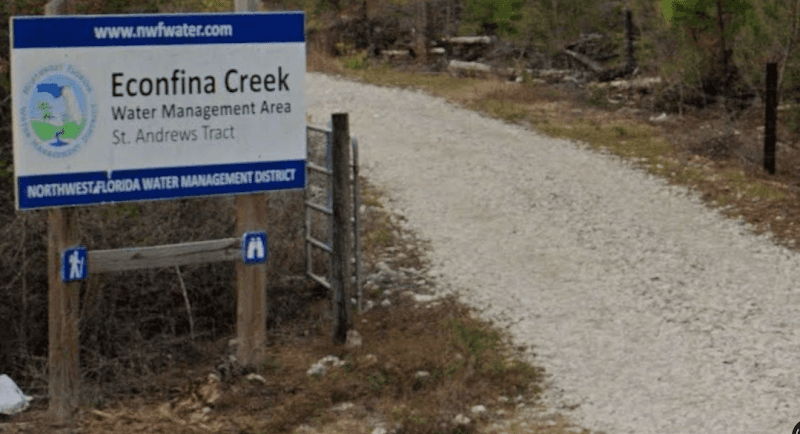 St. Andrews Tract - Econfina Creek (WMA) - Image 1