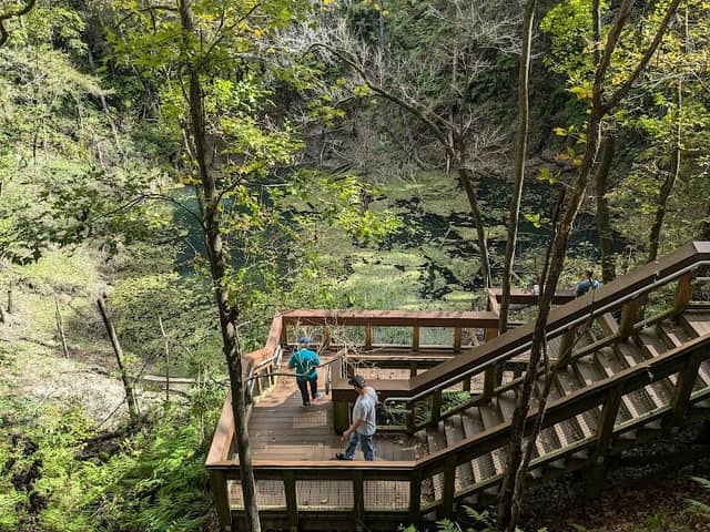 Devil's Millhopper Geological State Park - Image 2