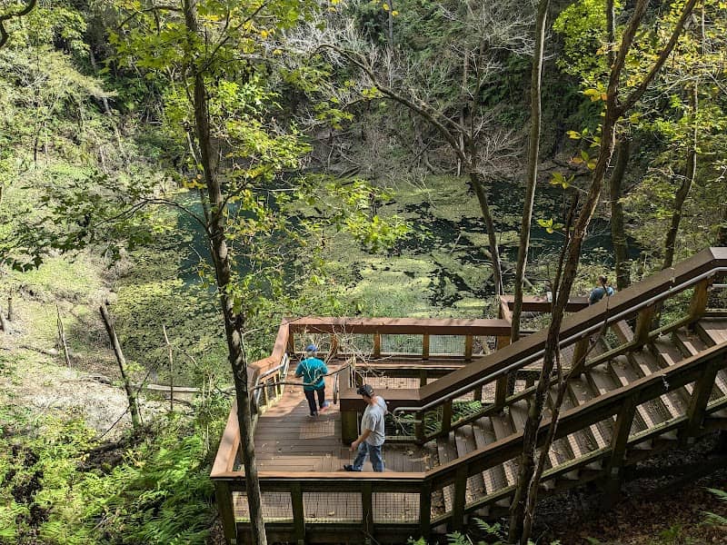 Devil's Millhopper Geological State Park - Image 2