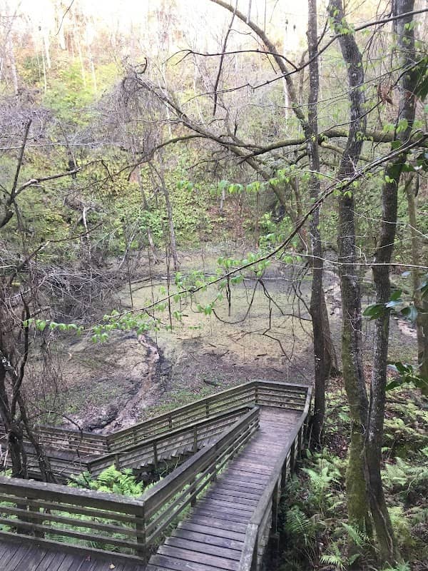 Devil's Millhopper Geological State Park - Image 1