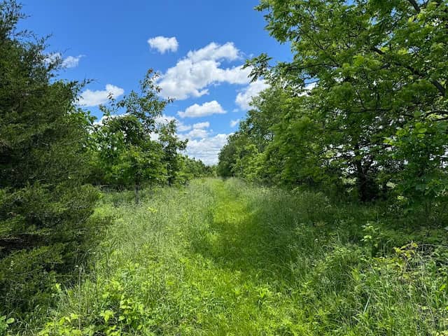 Big Walnut Nature Preserve - Rayfield Trail - Image 1
