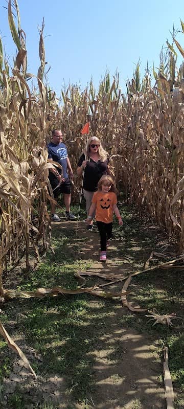 Fall Corn Festival at Glazebrook Park - Image 1