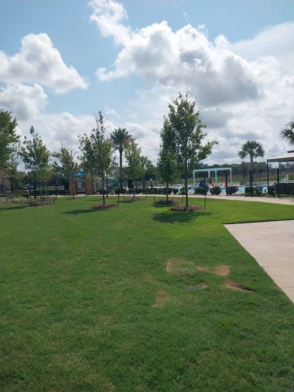 Lions Ball Park - Image 1