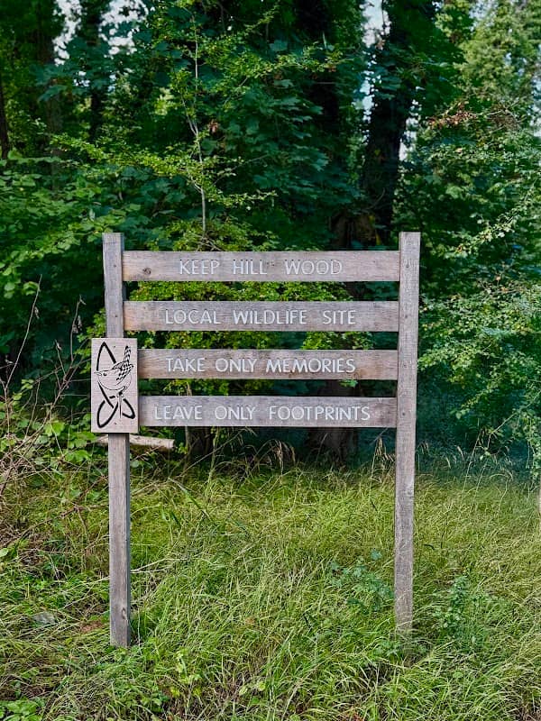 Keep Hill Wood - Image 2
