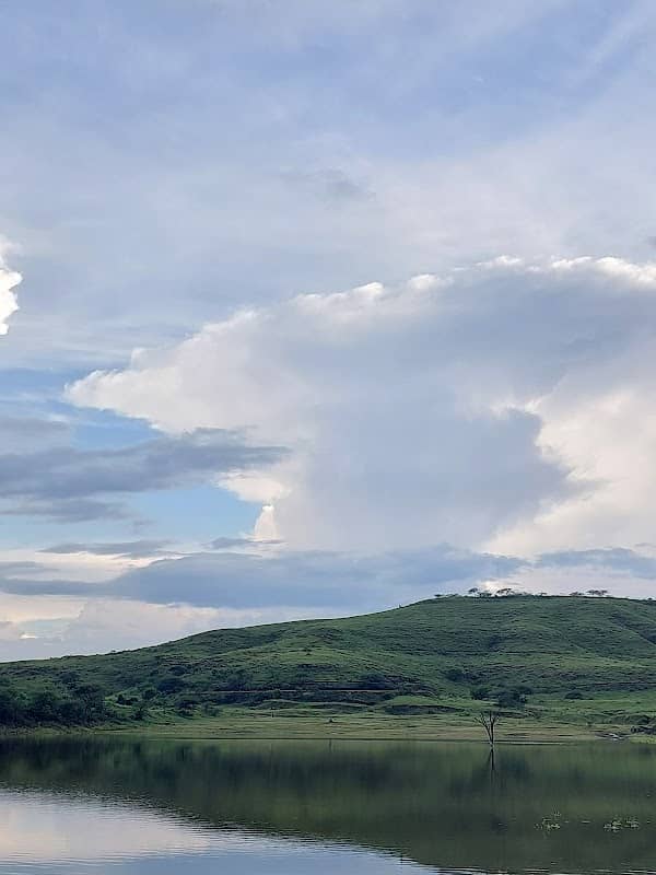 The lake point - Image 1