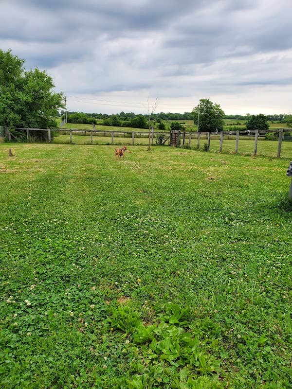 Jessamine County Dog Park - Image 1