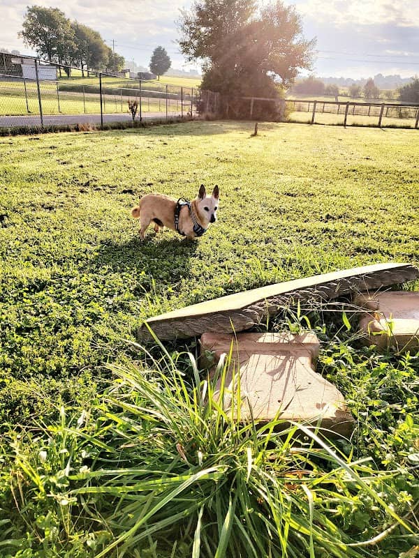 Jessamine County Dog Park - Image 2