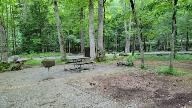 Cades Cove Picnic Area - Image 1