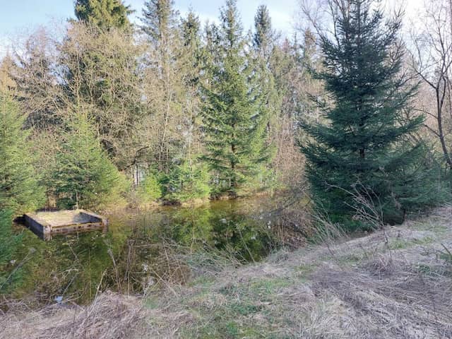 Hohe Egge - Image 2