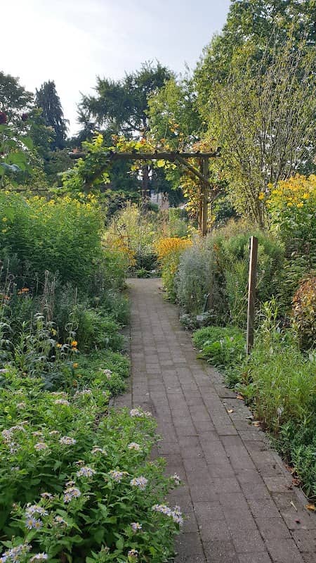 Costerustuin Hilversum - Image 1