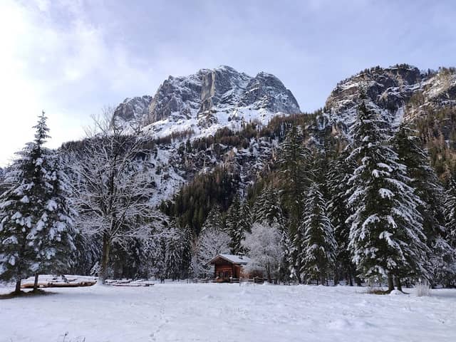 Rotwild Wintergehege - Image 2