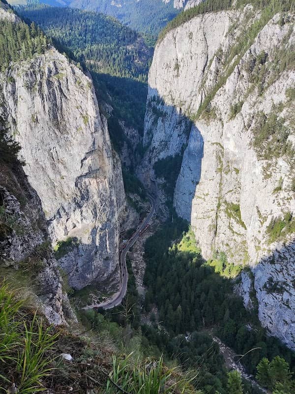 BELVEDERE chei bicajel - Image 1