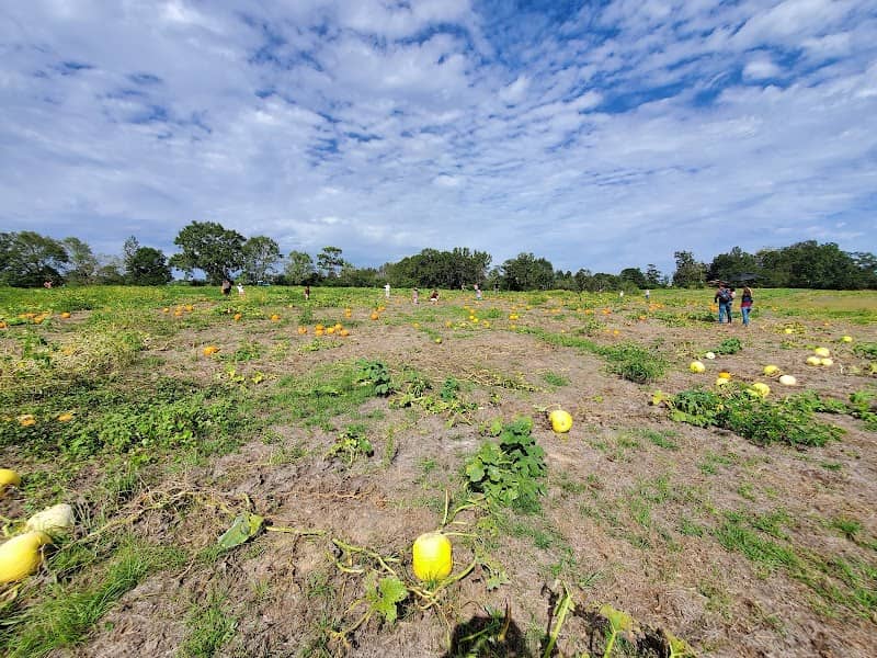 Williams Family Farms - Image 1