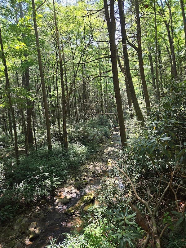 Upper DeSoto Falls - Image 2