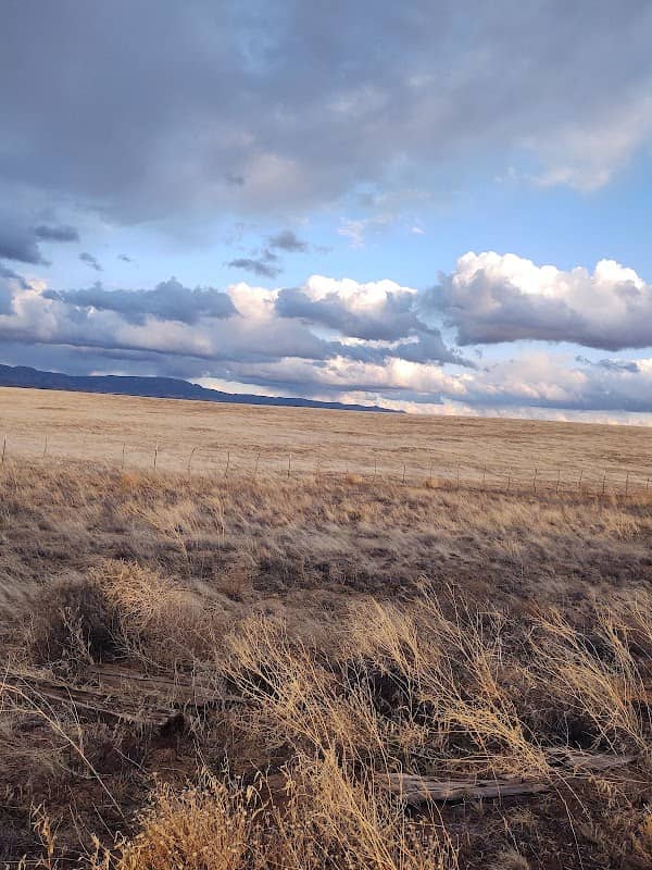 Peavine Trail Trailhead - Image 2