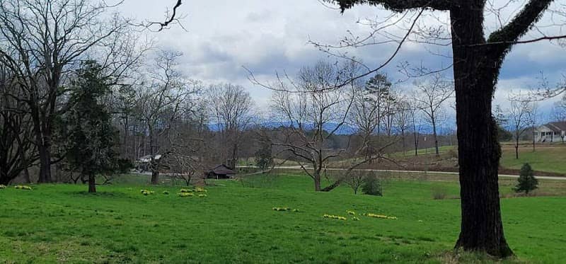 Cormiston Farms - Image 2