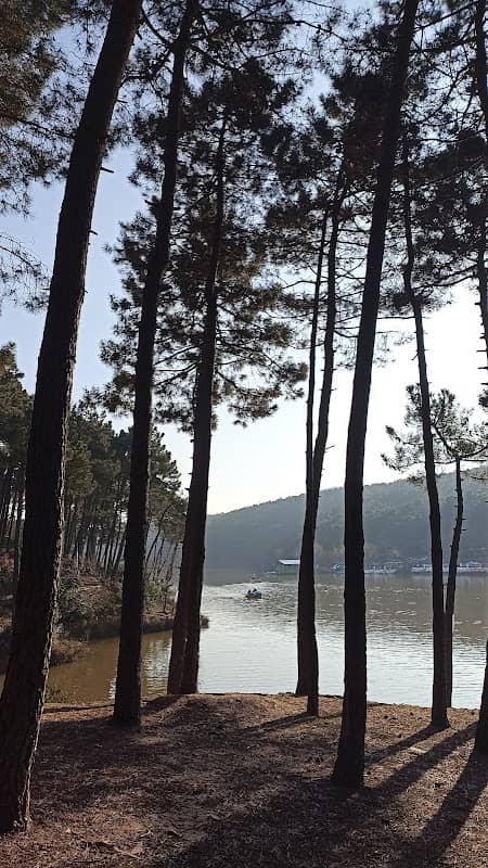 Aydos Orman Parkı - Image 2