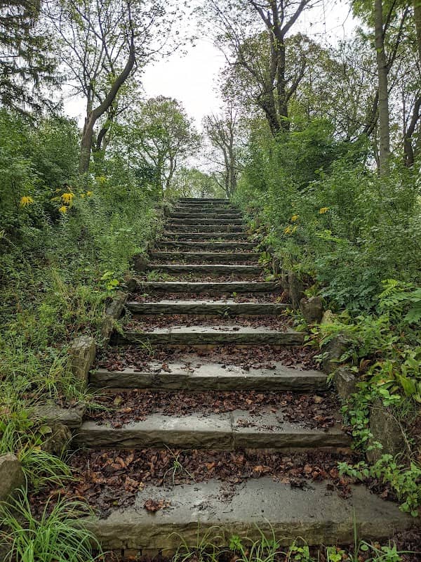 Lincoln Park - Image 2