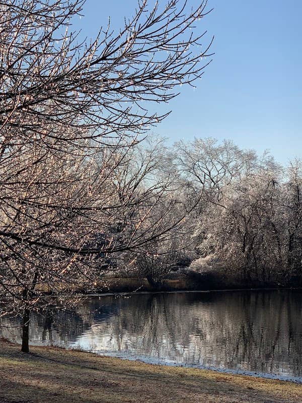 Crystal Lake Park - Image 2